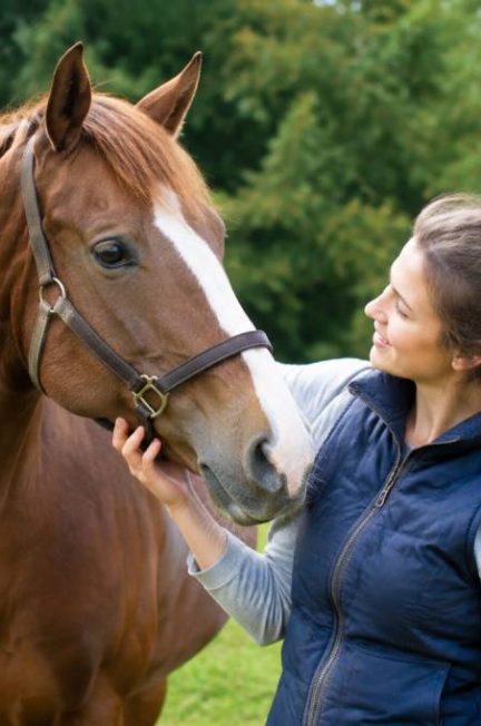 Cheval à vendre à petit prix : conseils pour trouver le bon compagnon 天天中彩票qq