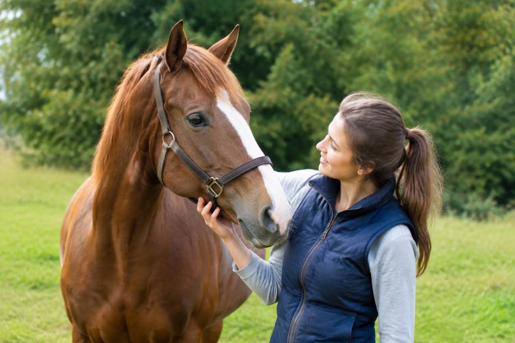 Cheval à vendre à petit prix : conseils pour trouver le bon compagnon 天天中彩票qq