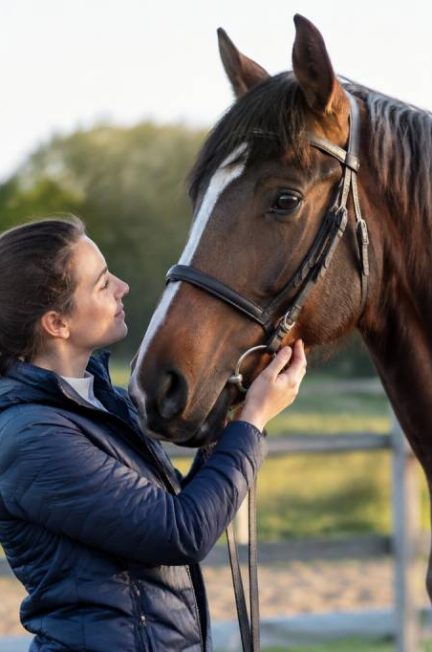 Cheval à vendre 1000 € : conseils pour trouver le bon compagnon