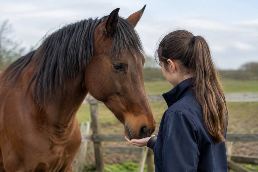 Cheval autiste : comprendre son comportement et l’accompagner au quotidien